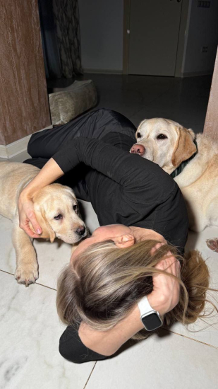 ������ ������� ���������� ��������� ��������