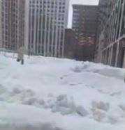 ������ ��������� ����� ��������