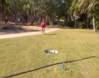 ������� � ��� ���������� �����