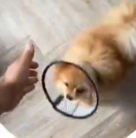 ����� �� �������� ��� �����